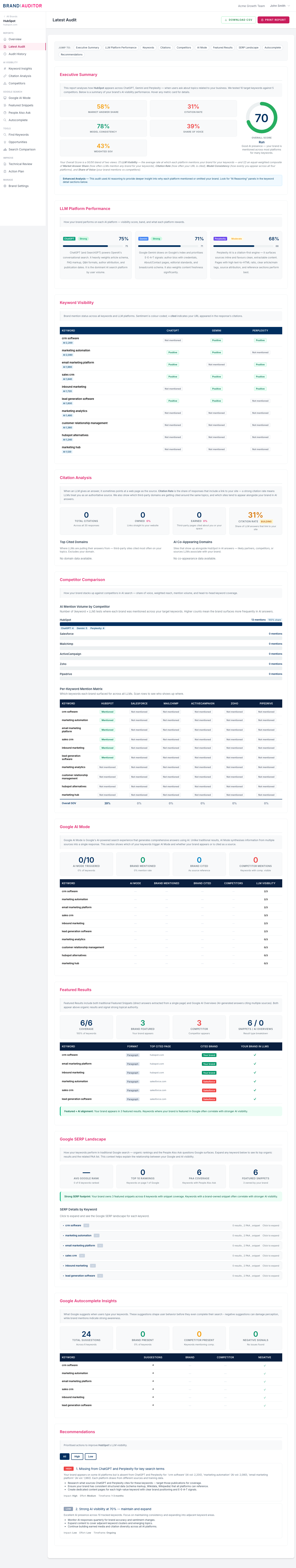 AI Visibility Audits screenshot